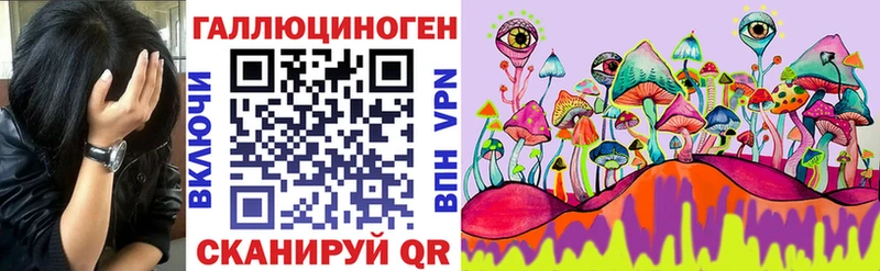 Псилоцибиновые грибы Psilocybine cubensis  Бологое 