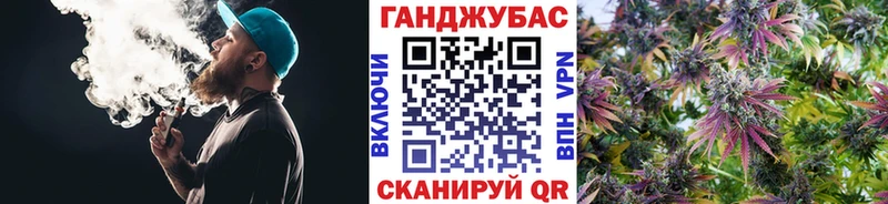 Конопля гибрид Бологое